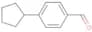4-Cyclopentylbenzaldehyde