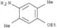 Benzenamine,4-ethoxy-2,5-dimethyl-