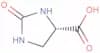 2-imidazolidone-4-carboxylic acid