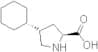(4S)-4-Cyclohexyl-L-proline