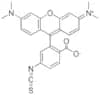 5(6)-TRITC 5(6)-Tetramethylrhodamine isothiocyanate