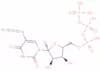 5-azidouridine-5'-triphosphate