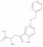 5-benzyloxytryptophan