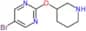 5-bromo-2-(3-piperidyloxy)pyrimidine