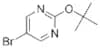 5-BROMO-2-(TERT-BUTOXY)PYRIMIDINE