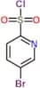 5-Bromopyridine-2-sulfonyl chloride