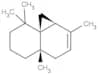 Thujopsene