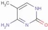 5-Methylcytosine