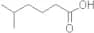 5-Methylhexanoic acid