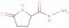 5-Oxoproline hydrazide