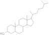Coprostanol