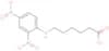 Dinitrophenyl-ε-aminocaproic acid