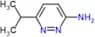 6-isopropylpyridazin-3-amine