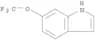 6-(trifluoromethoxy)-1H-indole