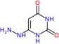 6-hydrazinopyrimidine-2,4(1H,3H)-dione