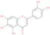 6-hydroxyluteolin