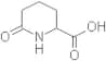 6-Oxo-2-piperidinecarboxylic acid