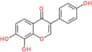 8-Hydroxydaidzein