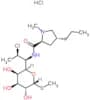 methyl 7-chloro-6,7,8-trideoxy-6-{[(4R)-1-methyl-4-propyl-L-prolyl]amino}-1-thio-D-erythro-alpha-D…