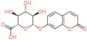 7-Hydroxycoumarin glucuronide