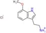 7-Methoxytryptamine