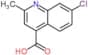 7-chloro-2-methylquinoline-4-carboxylic acid