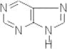 Purine