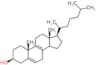8-Dehydrocholesterol