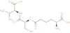 N-[(5S)-5-amino-5-carboxypentanoyl]-L-cysteinyl-D-valine