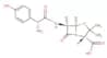 Amoxicillin