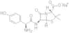 Amoxicillin Sodium
