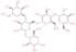 Amylopectin