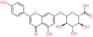 Apigenin 7-O-glucuronide