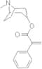 Apoatropine