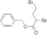 Phenylmethyl 2,4-dibromobutanoate