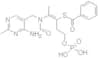 S-benzoylthiamine O-monophosphate