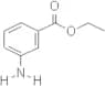 Ethyl 3-aminobenzoate