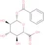 Benzoyl glucuronide