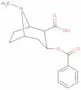 Benzoylecgonine