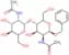 BENZYL N,N'-DIACETYL-B-CHITOBIOSIDE