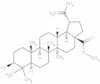 Methyl betulinate