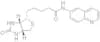 biotin 6-amidoquinoline