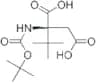Boc-D-Asp-OtBu