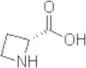 D-Azetidine-2-carboxylic acid
