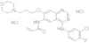 Canertinib dihydrochloride