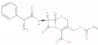 cephaloglycin
