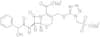 Cefonicid sodium