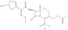 Cefotaxime sodium
