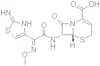 Ceftizoxime