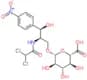 Chloramphenicol 3-glucuronide